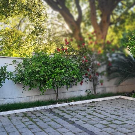 Apartments Villa Alba Дубровник Екстериор снимка