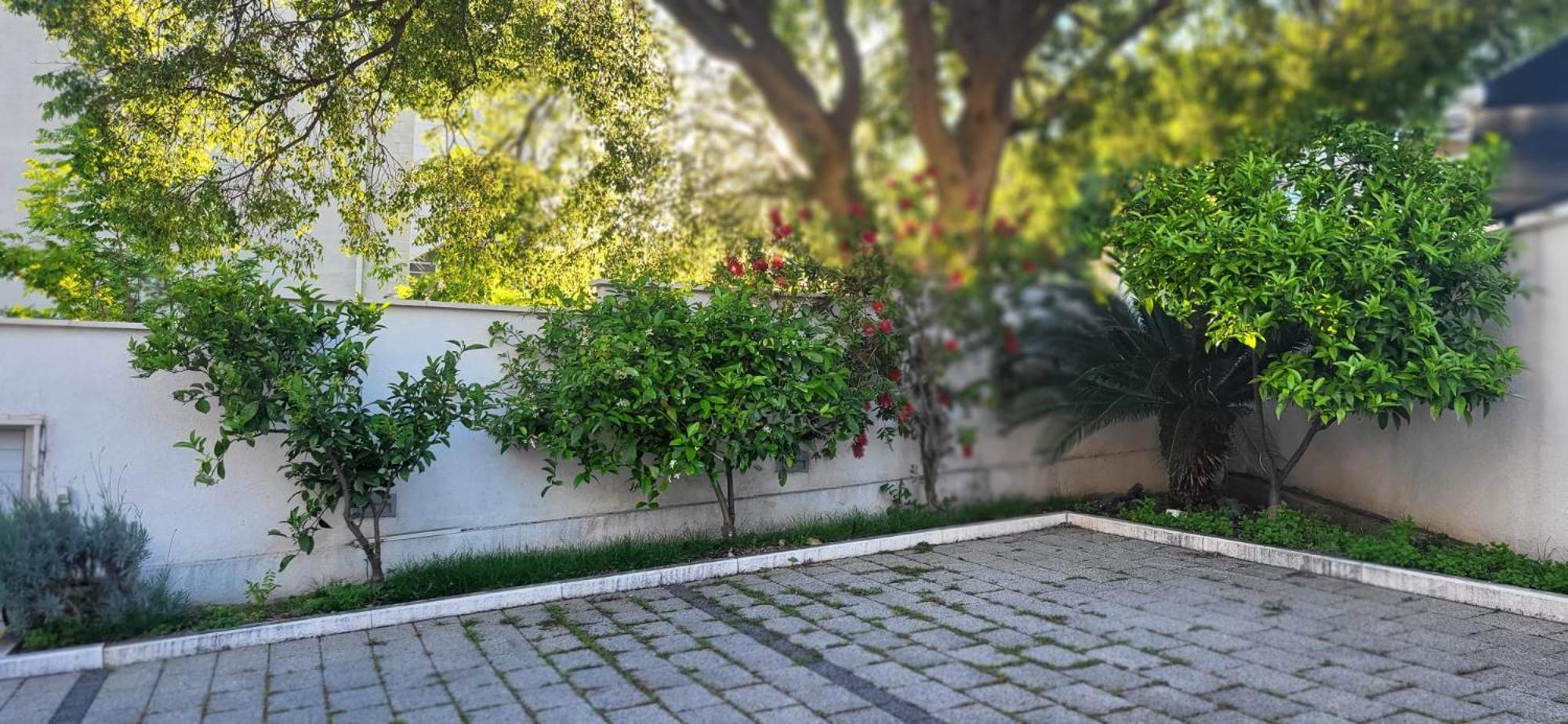 Apartments Villa Alba Дубровник Екстериор снимка
