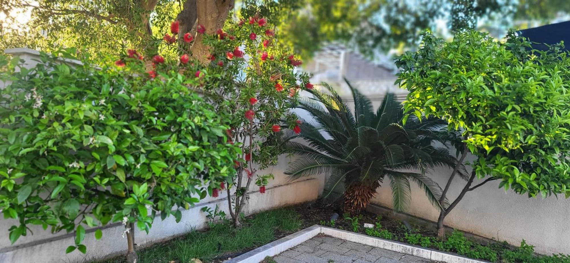Apartments Villa Alba Дубровник Екстериор снимка